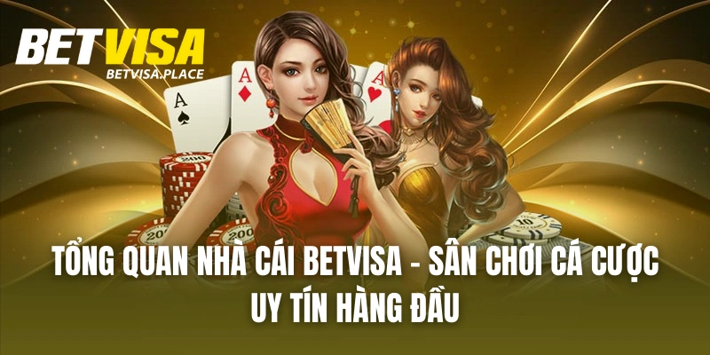 Betvisa 24 Tổng Quan Nhà Cái BETVISA - Sân Chơi Cá Cược Uy Tín Hàng Đầu